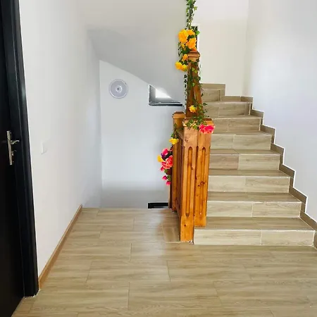 Гостевой дом Vila Sofia Iasmin Эфорие Норд