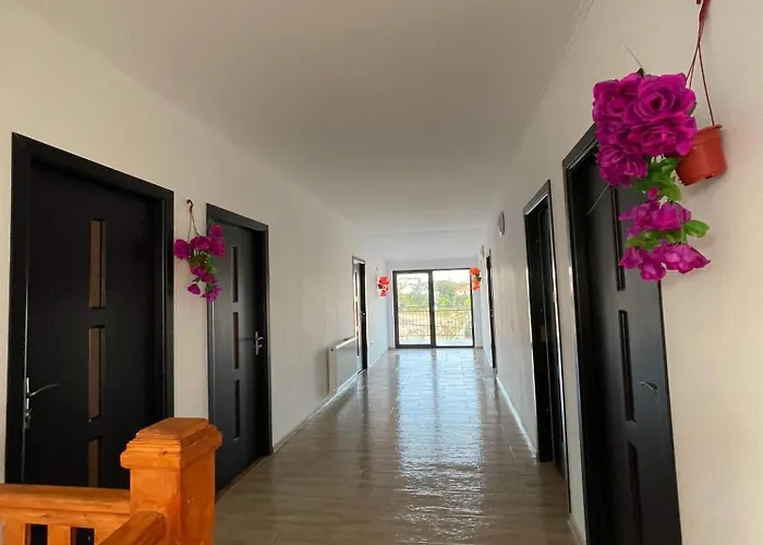 Gasthuis Vila Sofia Iasmin *